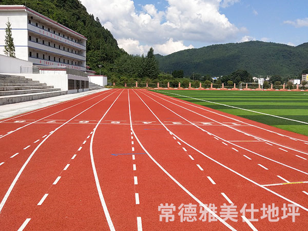 銅仁中學(xué)塑膠跑道、草坪